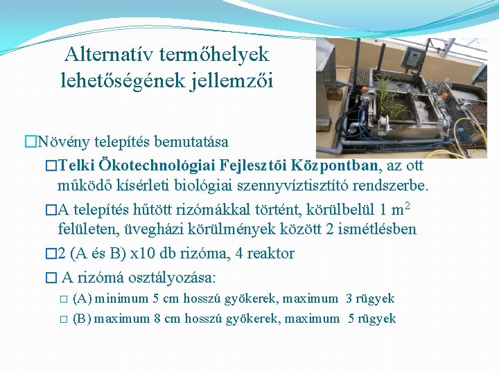 Alternatív termőhelyek lehetőségének jellemzői �Növény telepítés bemutatása �Telki Ökotechnológiai Fejlesztői Központban, az ott működő