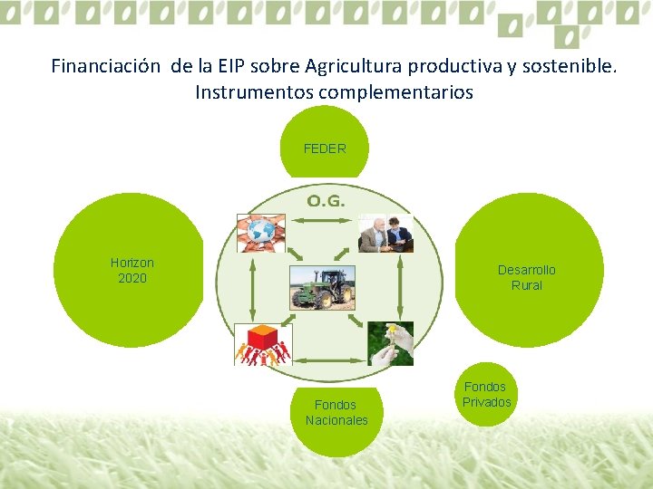 Financiación de la EIP sobre Agricultura productiva y sostenible. Instrumentos complementarios FEDER Horizon 2020