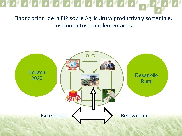 Financiación de la EIP sobre Agricultura productiva y sostenible. Instrumentos complementarios Horizon 2020 Excelencia