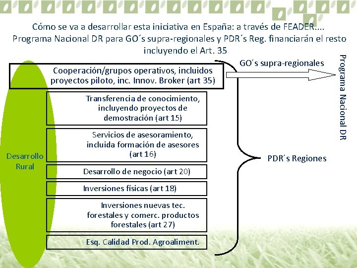 Cooperación/grupos operativos, incluidos proyectos piloto, inc. Innov. Broker (art 35) GO´s supra-regionales Transferencia de