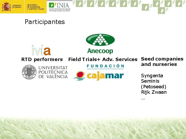 Participantes RTD performers Field Trials+ Adv. Services Seed companies and nurseries Syngenta Seminis (Petoseed)