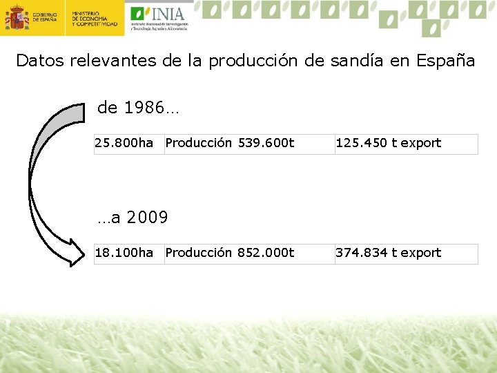 Datos relevantes de la producción de sandía en España de 1986… 25. 800 ha