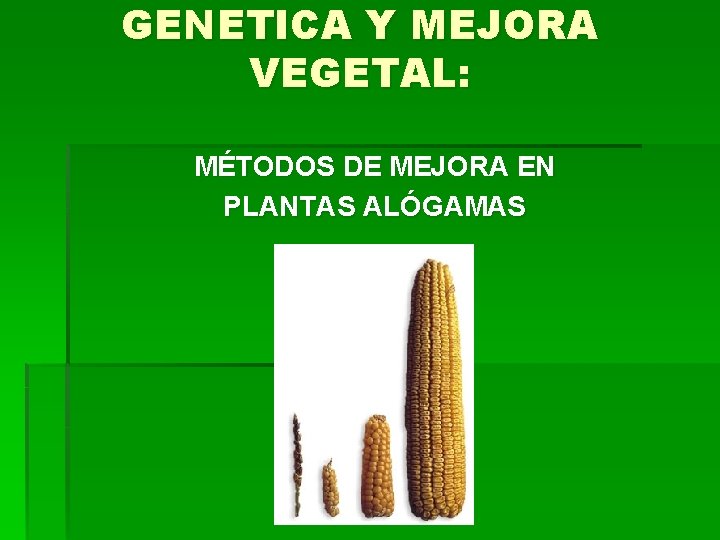 GENETICA Y MEJORA VEGETAL: MÉTODOS DE MEJORA EN PLANTAS ALÓGAMAS 