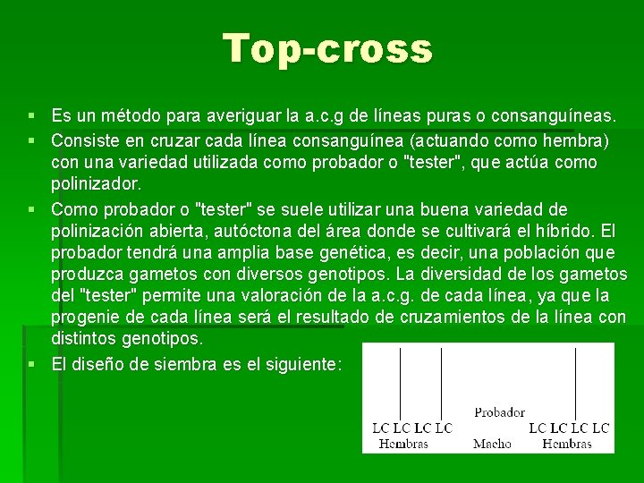 Top-cross § Es un método para averiguar la a. c. g de líneas puras