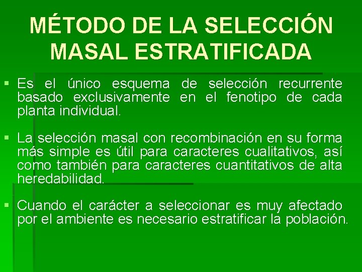 MÉTODO DE LA SELECCIÓN MASAL ESTRATIFICADA § Es el único esquema de selección recurrente