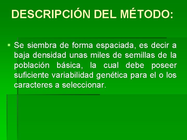 DESCRIPCIÓN DEL MÉTODO: § Se siembra de forma espaciada, es decir a baja densidad