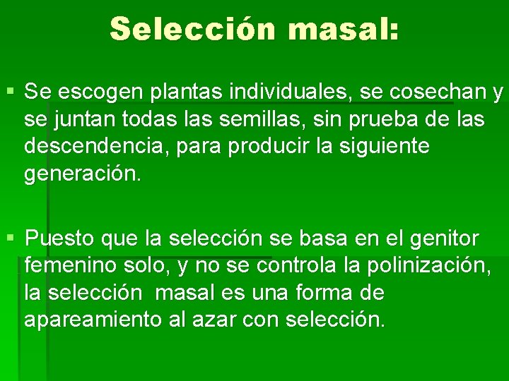 Selección masal: § Se escogen plantas individuales, se cosechan y se juntan todas las