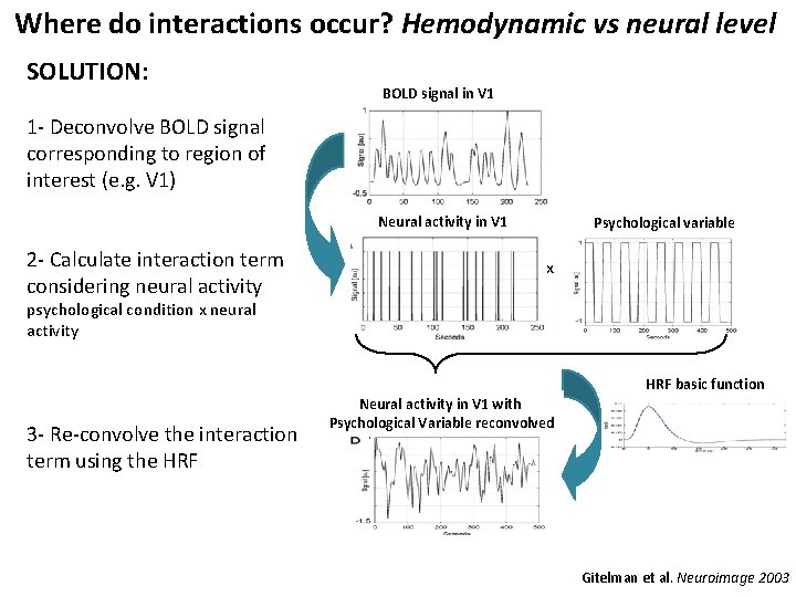 Where do interactions occur? Hemodynamic vs neural level SOLUTION: BOLD signal in V 1