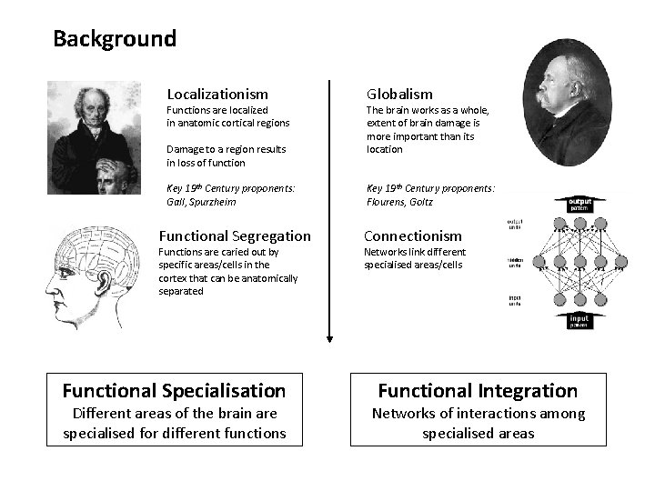 Background Localizationism History: Functions are localized in anatomic cortical regions Damage to a region