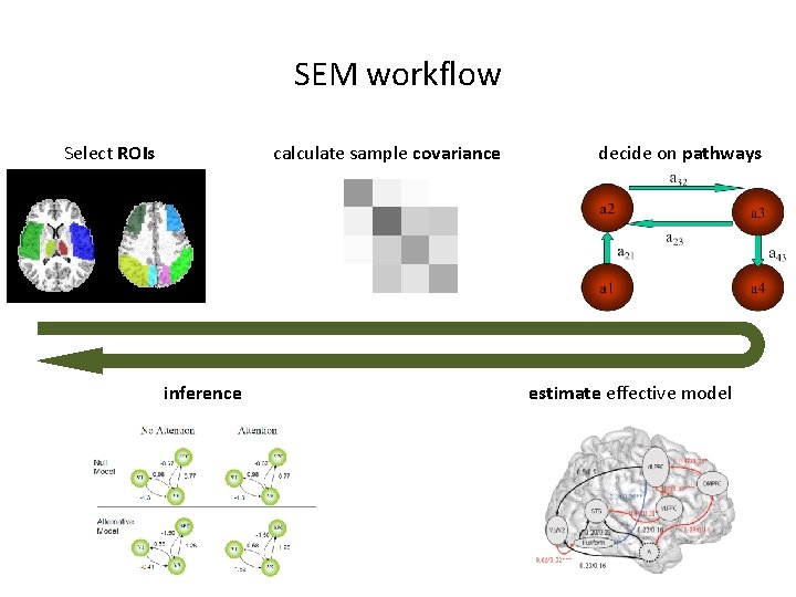 SEM workflow Select ROIs calculate sample covariance inference decide on pathways estimate effective model