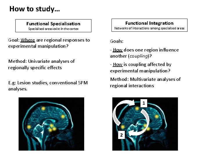 How to study… Functional Specialisation Specialised areas exist in the cortex Goal: Where are