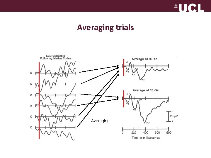 Averaging trials Averaging 