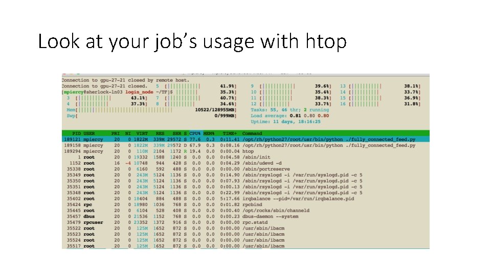 Look at your job’s usage with htop Look at your job’s usage with htop