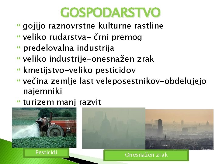 GOSPODARSTVO gojijo raznovrstne kulturne rastline veliko rudarstva- črni premog predelovalna industrija veliko industrije-onesnažen zrak