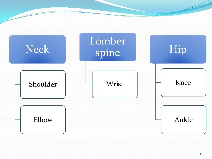 Neck Shoulder Elbow Lomber spine Wrist Hip Knee Ankle 2 
