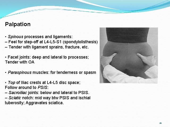 Palpation • Spinous processes and ligaments: – Feel for step-off at L 4 -L