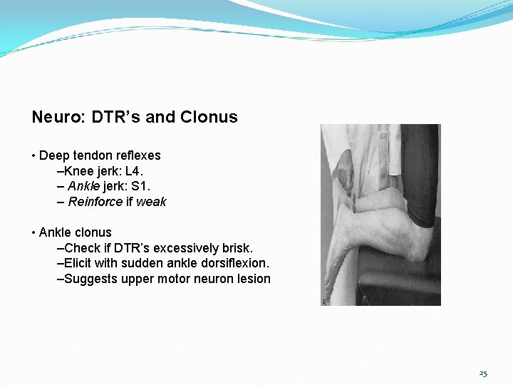 Neuro: DTR’s and Clonus • Deep tendon reflexes –Knee jerk: L 4. – Ankle