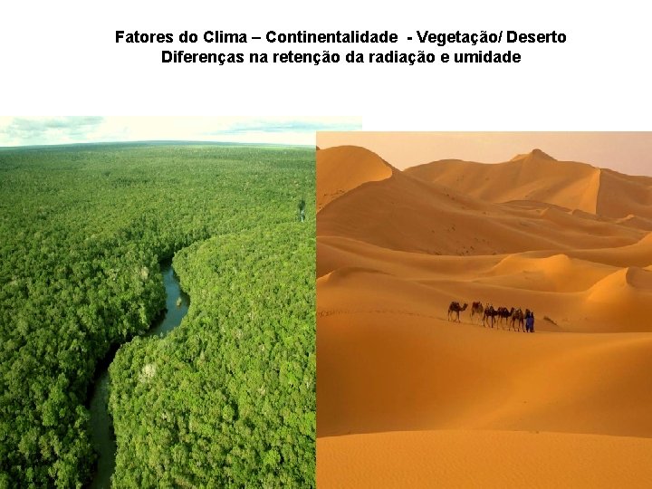 Fatores do Clima – Continentalidade - Vegetação/ Deserto Diferenças na retenção da radiação e