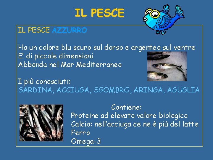 IL PESCE AZZURRO Ha un colore blu scuro sul dorso e argenteo sul ventre