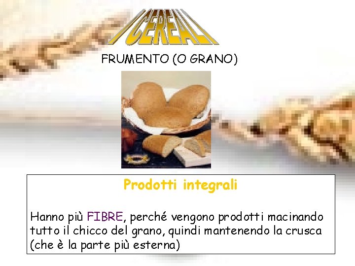 FRUMENTO (O GRANO) Prodotti integrali Hanno più FIBRE, perché vengono prodotti macinando tutto il