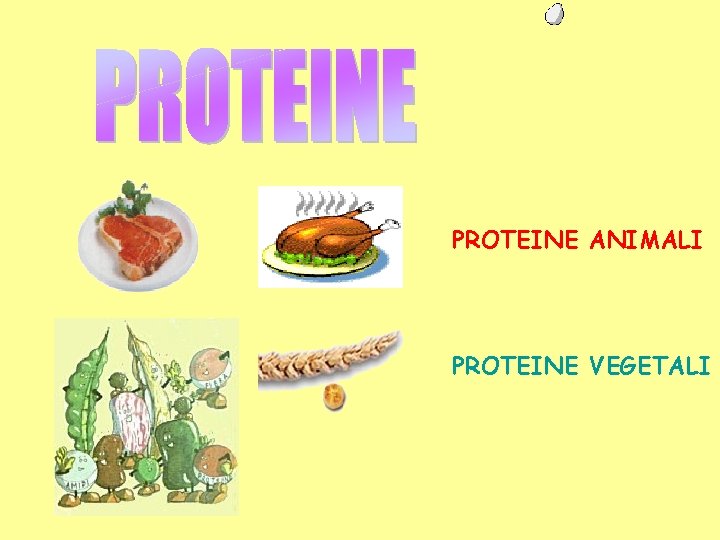 PROTEINE ANIMALI PROTEINE VEGETALI 