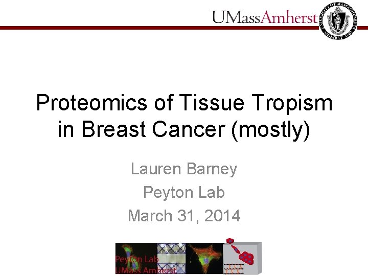 Proteomics of Tissue Tropism in Breast Cancer (mostly) Lauren Barney Peyton Lab March 31,