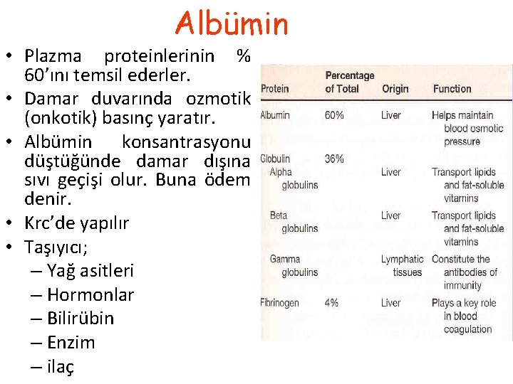 Albümin • Plazma proteinlerinin % 60’ını temsil ederler. • Damar duvarında ozmotik (onkotik) basınç