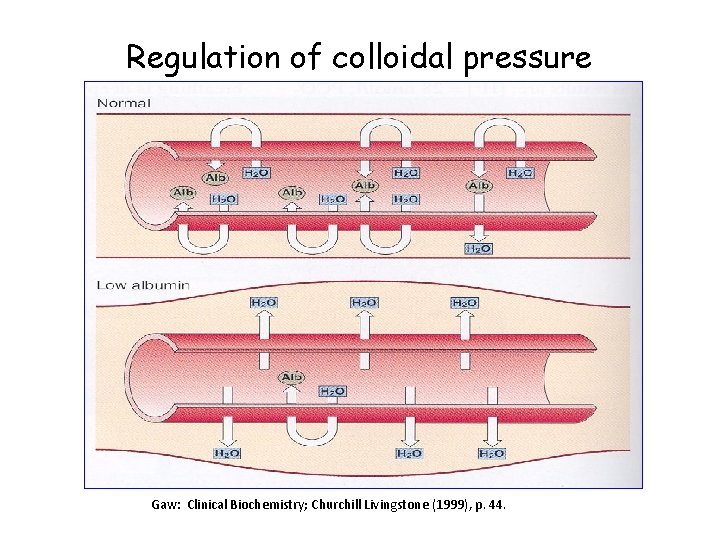 Regulation of colloidal pressure Gaw: Clinical Biochemistry; Churchill Livingstone (1999), p. 44. 