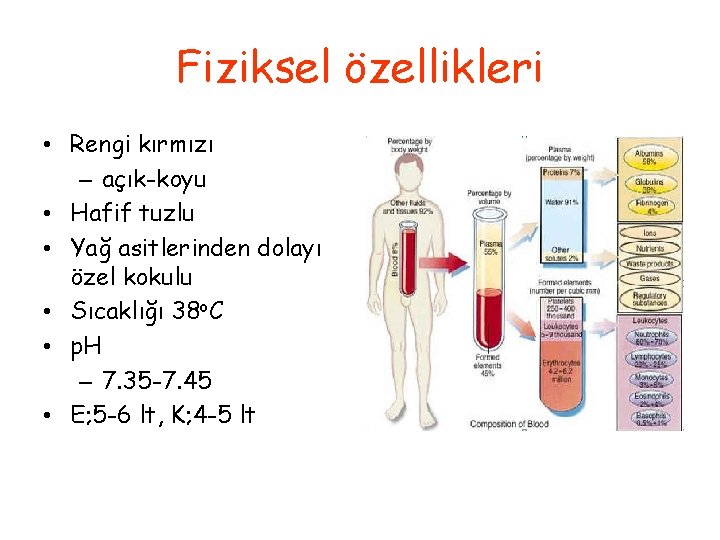 Fiziksel özellikleri • Rengi kırmızı – açık-koyu • Hafif tuzlu • Yağ asitlerinden dolayı