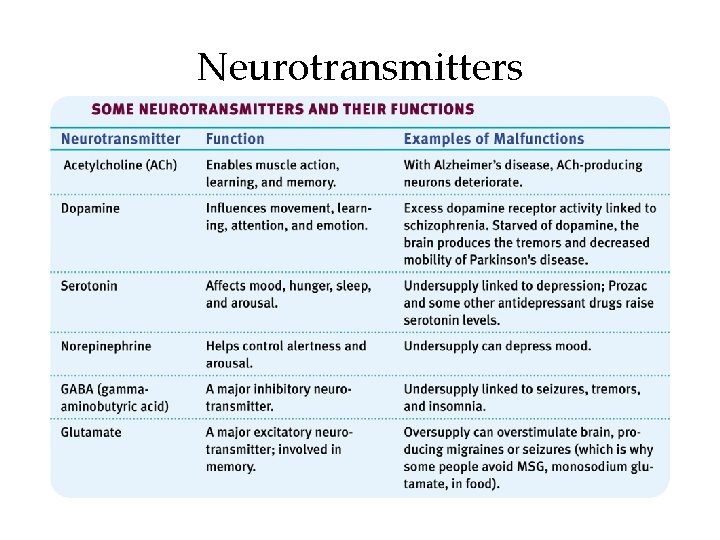 Neurotransmitters 
