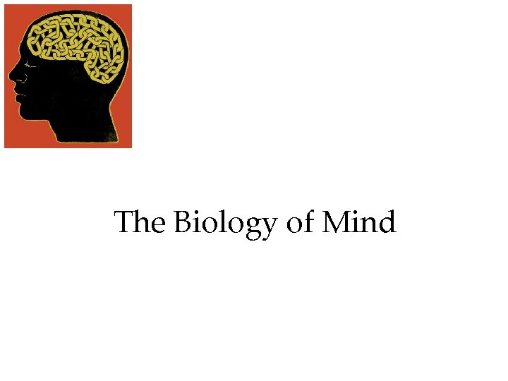 The Biology of Mind 