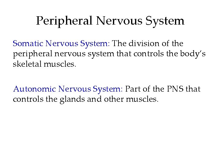 Peripheral Nervous System Somatic Nervous System: The division of the peripheral nervous system that