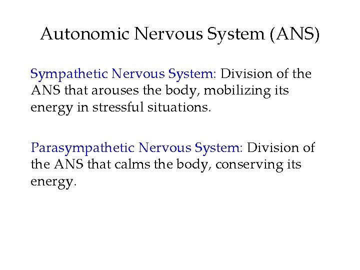 Autonomic Nervous System (ANS) Sympathetic Nervous System: Division of the ANS that arouses the