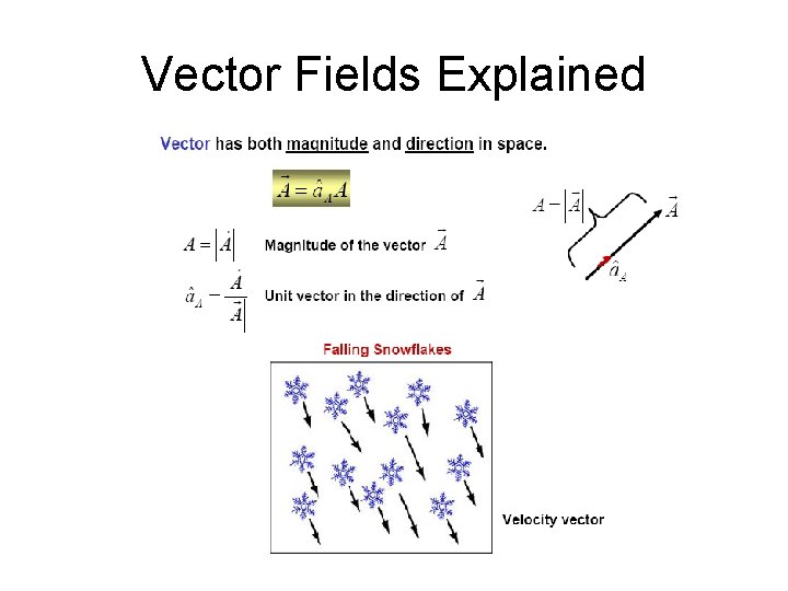 Vector Fields Explained 