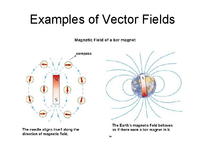 Examples of Vector Fields 