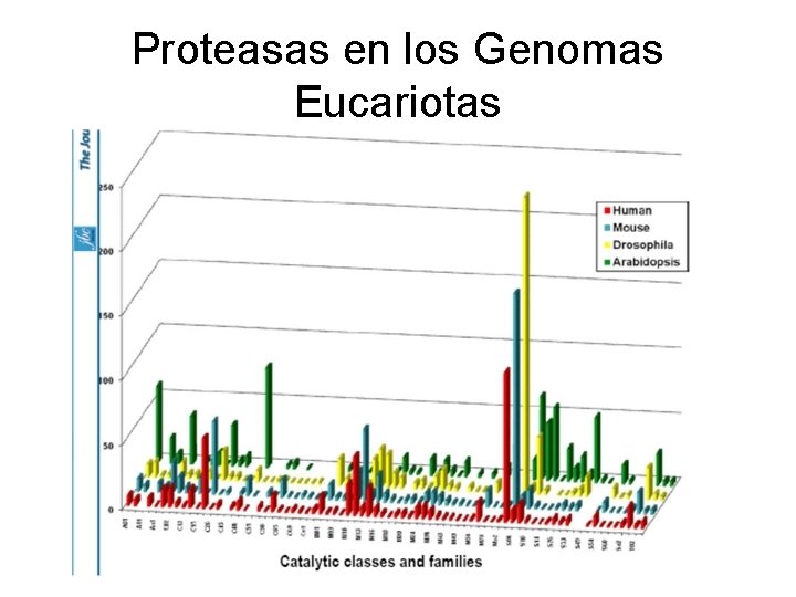 Proteasas en los Genomas Eucariotas 