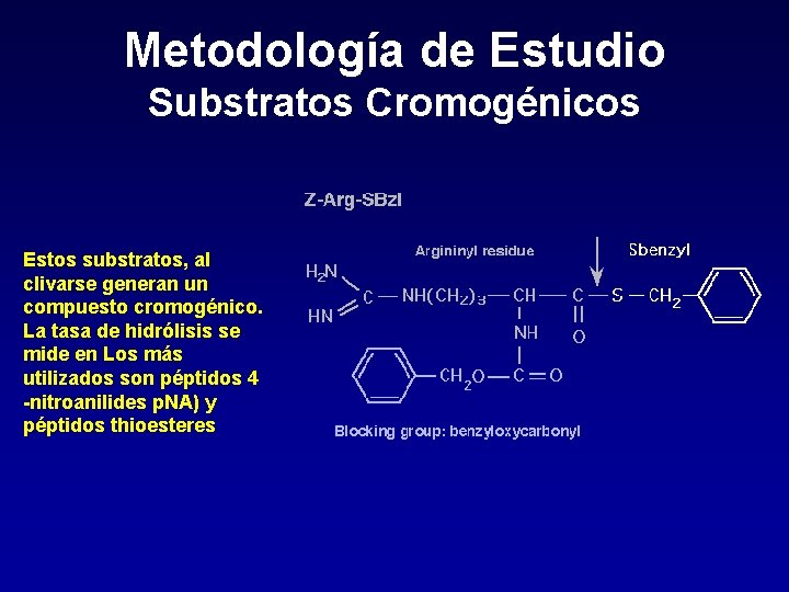 Metodología de Estudio Substratos Cromogénicos Estos substratos, al clivarse generan un compuesto cromogénico. La