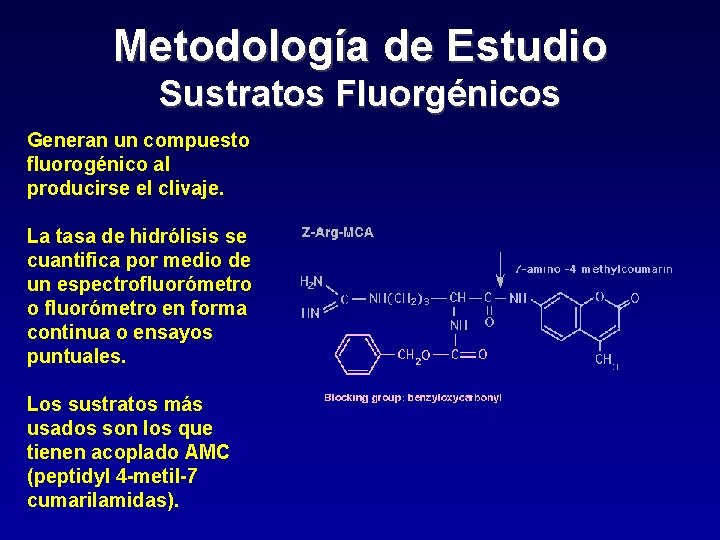 Metodología de Estudio Sustratos Fluorgénicos Generan un compuesto fluorogénico al producirse el clivaje. La