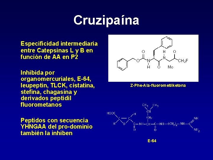 Cruzipaína Especificidad intermediaria entre Catepsinas L y B en función de AA en P