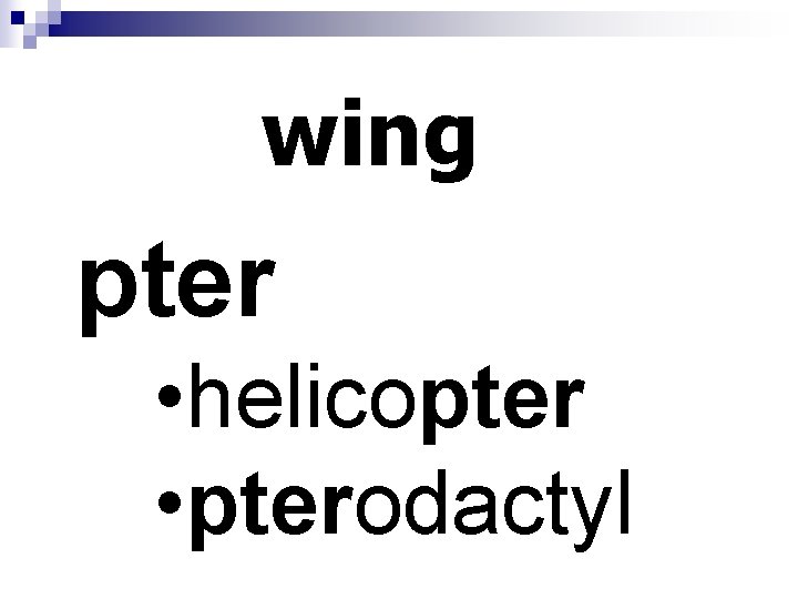 wing pter • helicopter • pterodactyl 