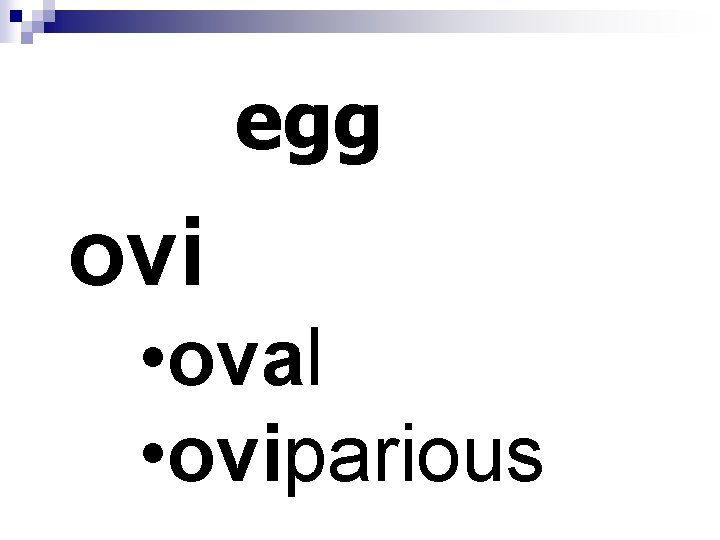 egg ovi • oval • oviparious 