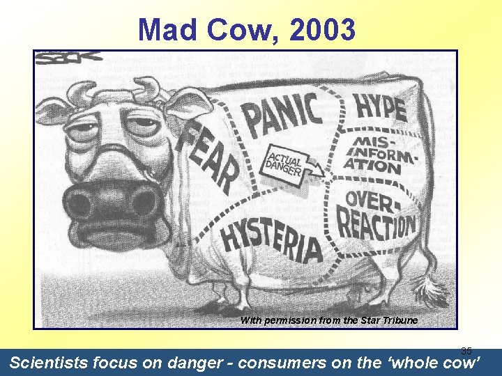 Mad Cow, 2003 With permission from the Star Tribune 35 Scientists focus on danger