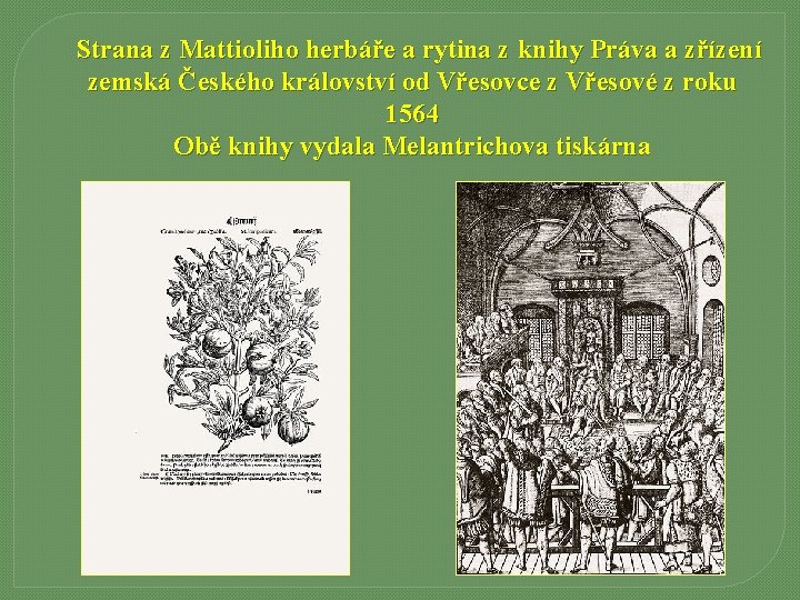 Strana z Mattioliho herbáře a rytina z knihy Práva a zřízení zemská Českého království