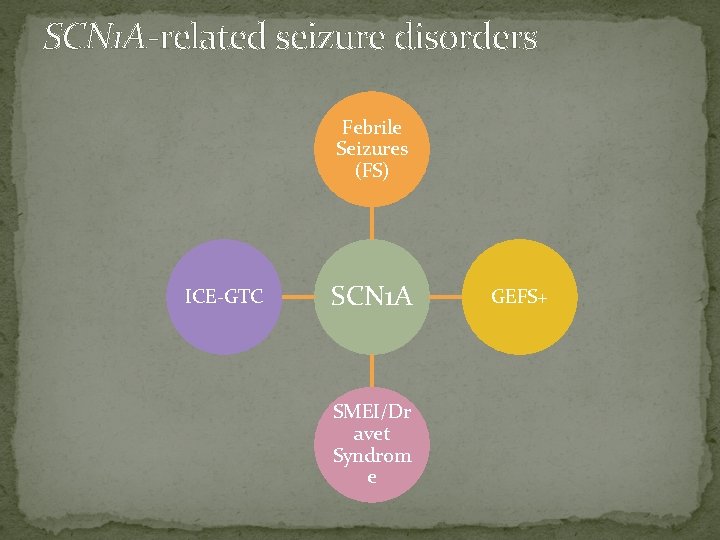 SCN 1 A-related seizure disorders Febrile Seizures (FS) ICE-GTC SCN 1 A SMEI/Dr avet