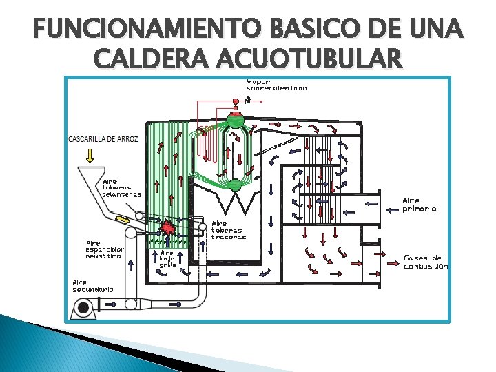 FUNCIONAMIENTO BASICO DE UNA CALDERA ACUOTUBULAR FUNCIONAMIENTO BASICO DE UNA CALDERA ACUOTUBULAR
