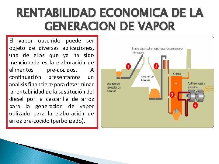 RENTABILIDAD ECONOMICA DE LA GENERACION DE VAPOR El vapor obtenido puede ser objeto de RENTABILIDAD ECONOMICA DE LA GENERACION DE VAPOR El vapor obtenido puede ser objeto de