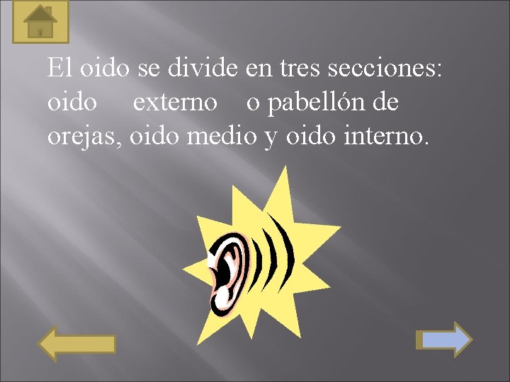 El oido se divide en tres secciones: oido externo o pabellón de orejas, oido