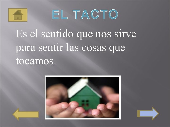 EL TACTO Es el sentido que nos sirve para sentir las cosas que tocamos.