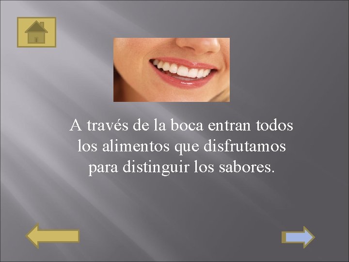 A través de la boca entran todos los alimentos que disfrutamos para distinguir los