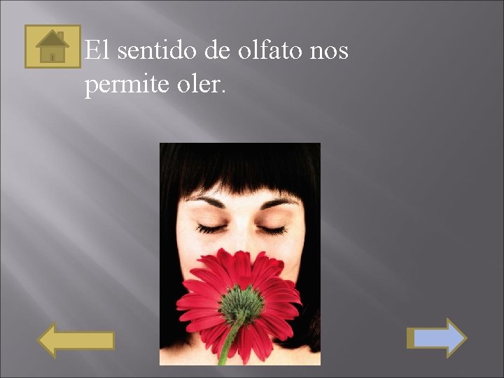 El sentido de olfato nos permite oler. 